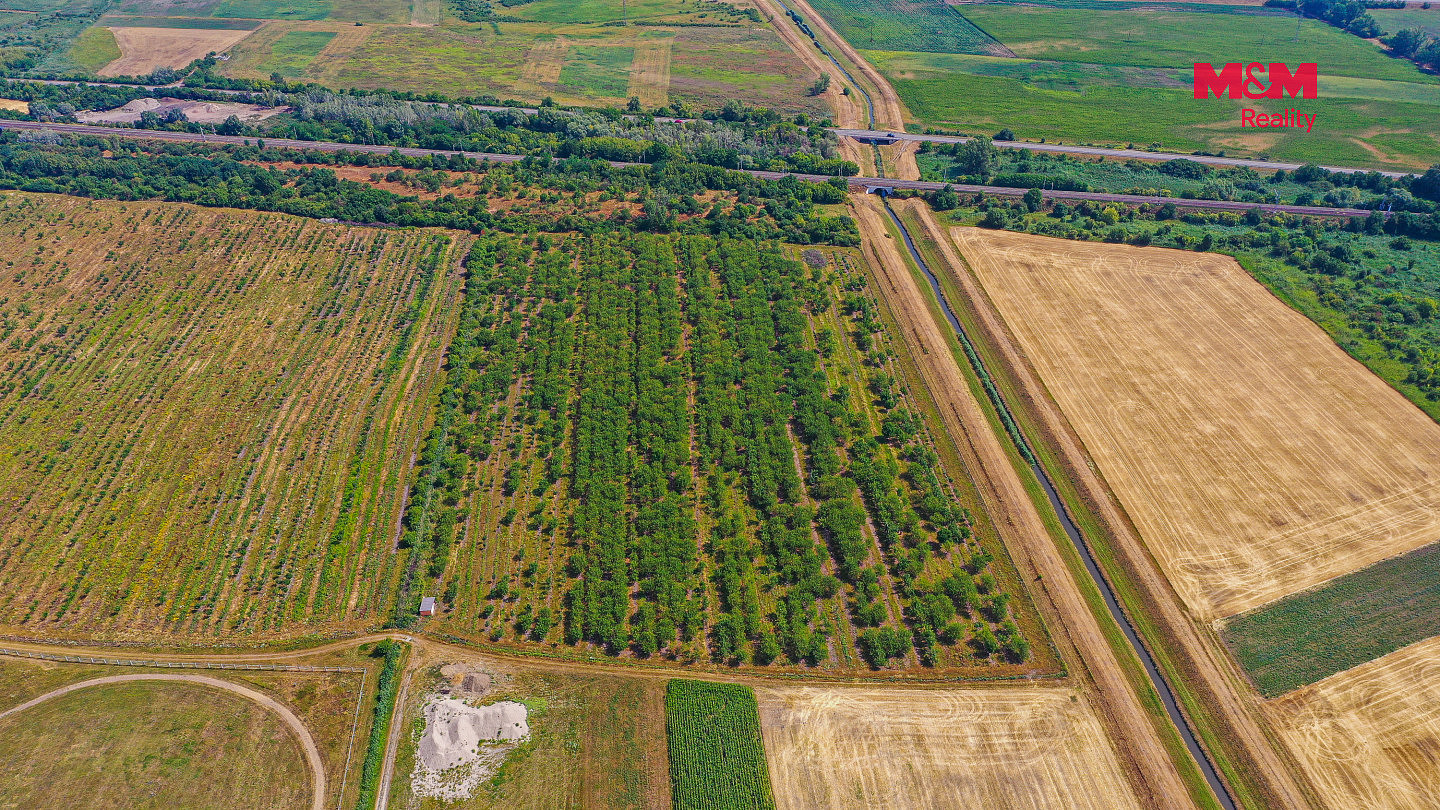 Prodej pole 12 442 m² — photo 4