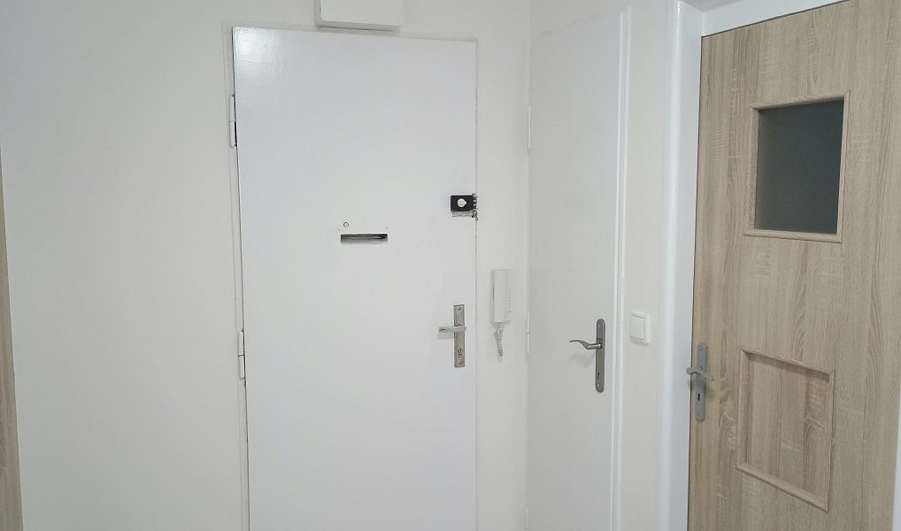 Pronájem bytu 1+1 48 m², Praha – náhled fotky 3
