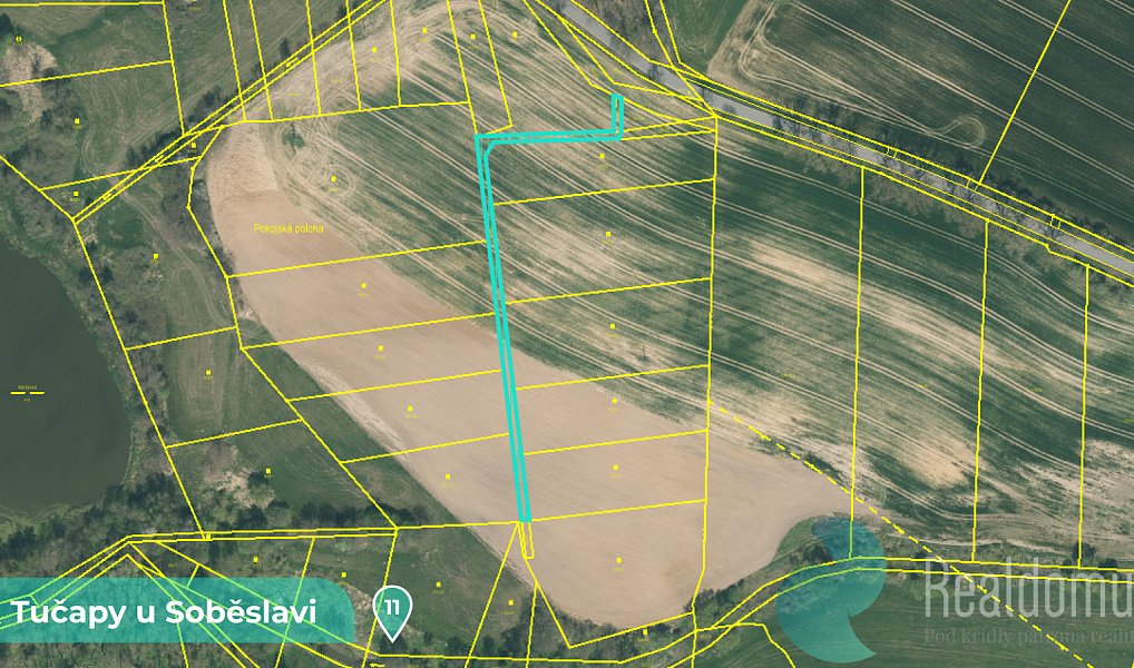 Prodej louky 11 561 m², Tučapy – náhled fotky 4