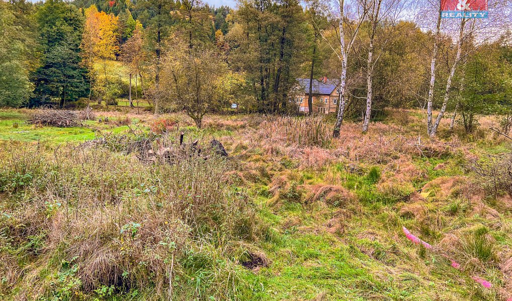 Prodej louky 4 788 m², Prysk – náhled fotky 6