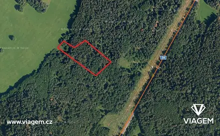 Prodej lesa 2 834 m², Vítanov, okres Chrudim