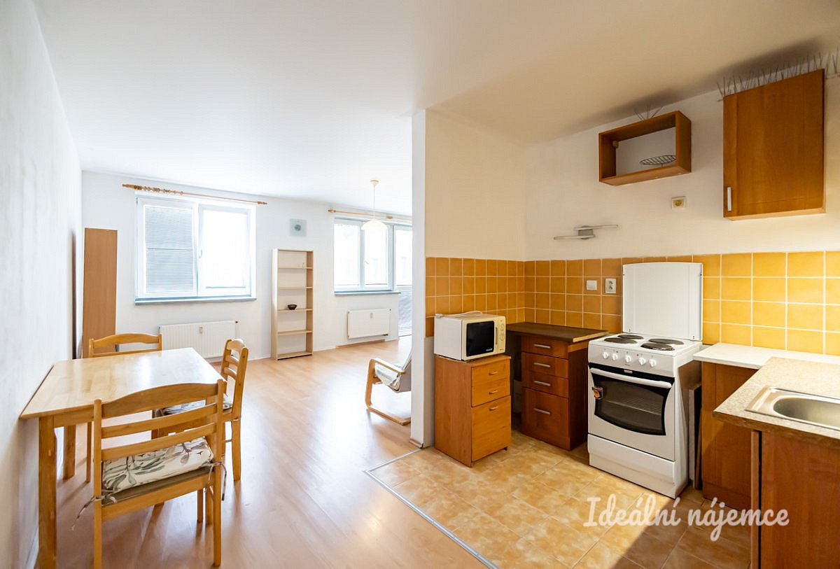 Pronájem bytu 1+kk 47 m² – fotografie 4