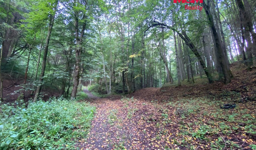 Prodej louky, 2261 m², Ústí nad Orlicí, Strážná