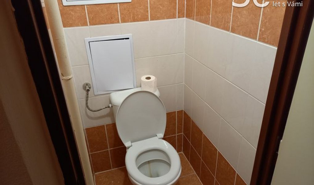 Pronájem bytu 2+1 54 m², Veselí nad Moravou – náhled fotky 6