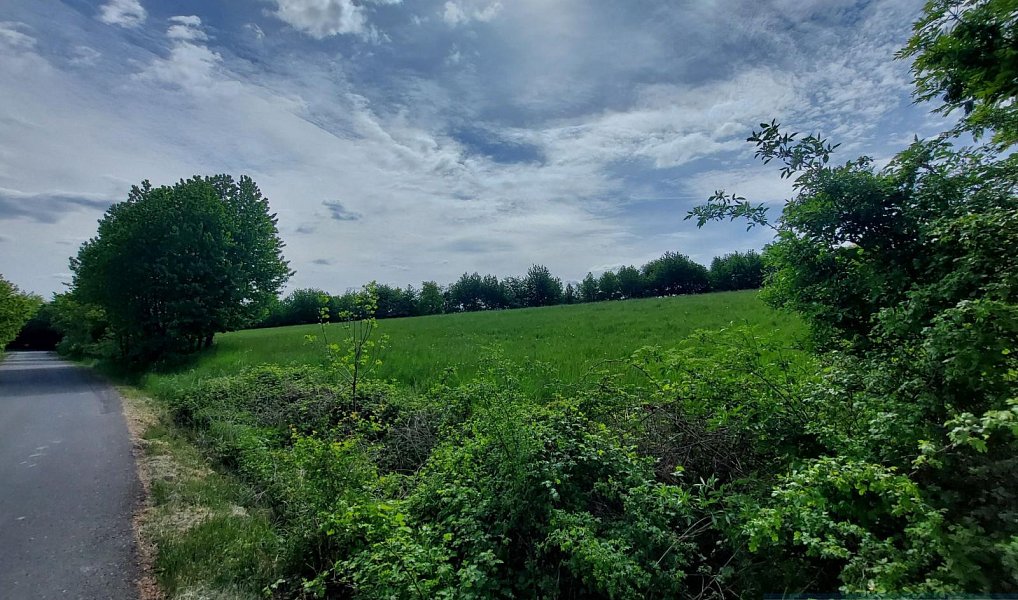 Prodej stavebního pozemku 927 m², Sosnová – náhled fotky 8