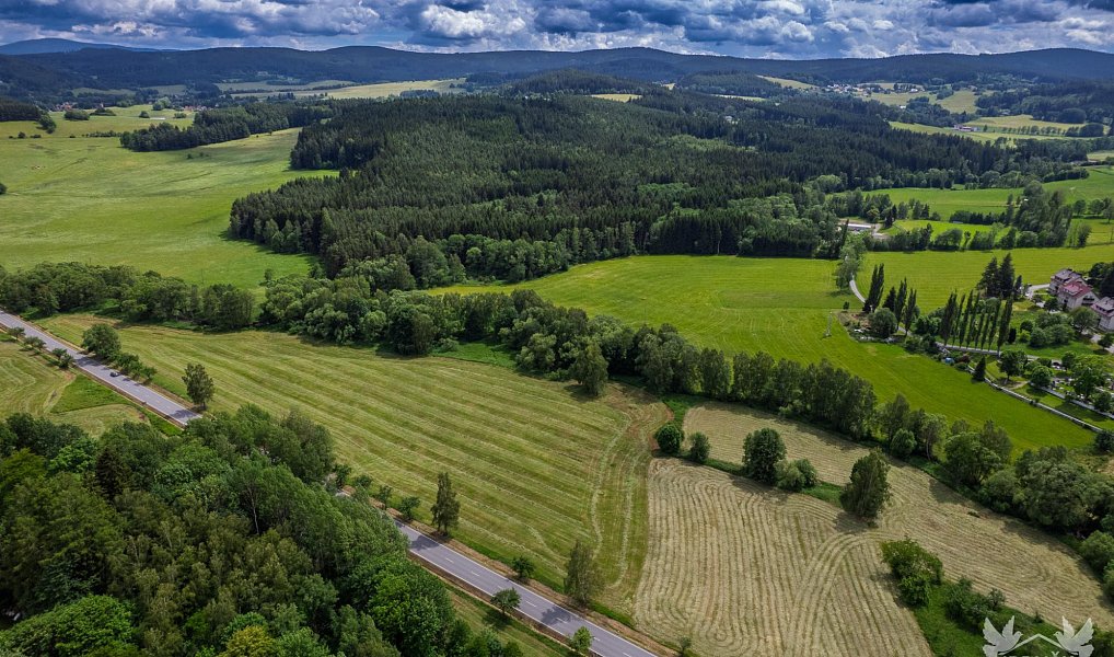 Prodej komerčního pozemku 9 518 m², Stachy – náhled fotky 8
