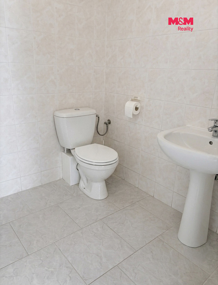 Pronájem obchodních prostor 350 m² – další