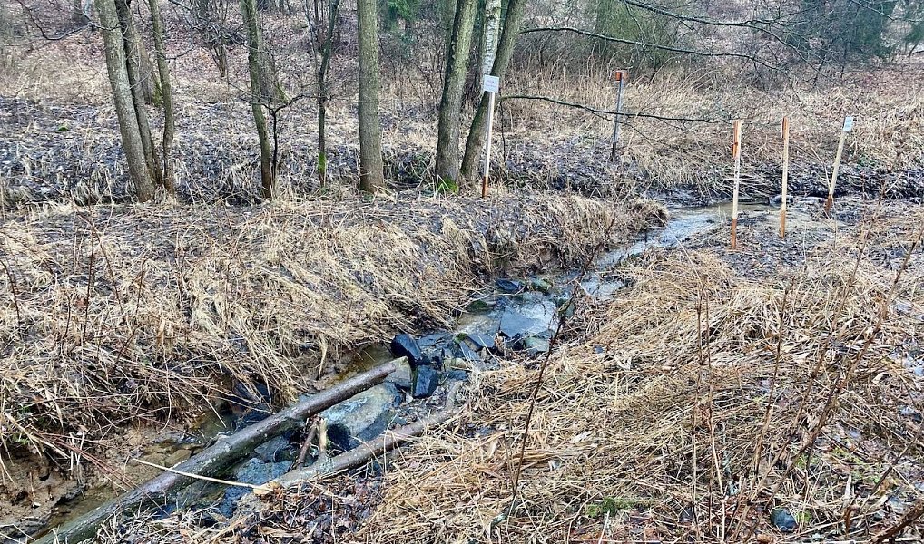 Prodej vodní plochy 8 264 m², Ondřejov – náhled fotky 11