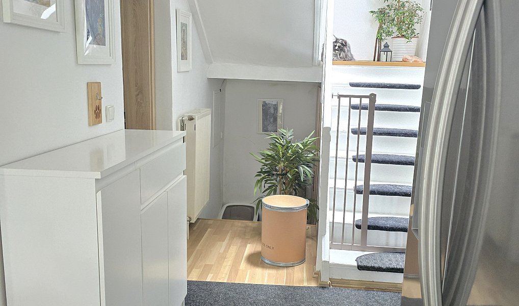 Prodej domu 180 m² s pozemkem 444 m², Milotice nad Opavou – náhled fotky 11