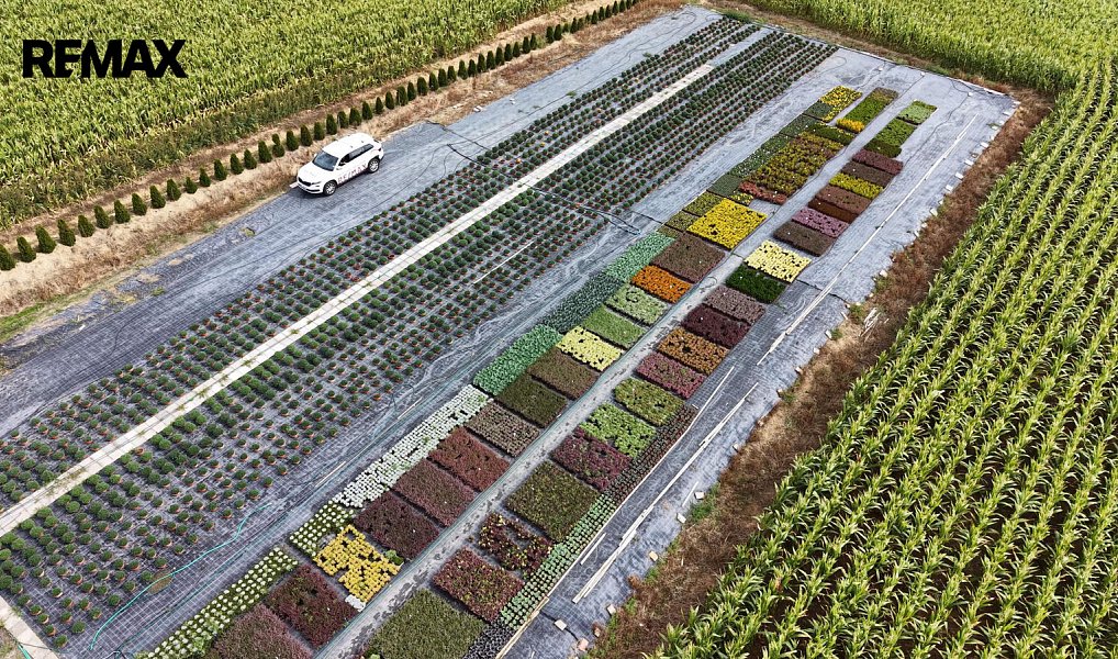 Prodej domu 148 m² s pozemkem 7 479 m², Miřetice – náhled fotky 10