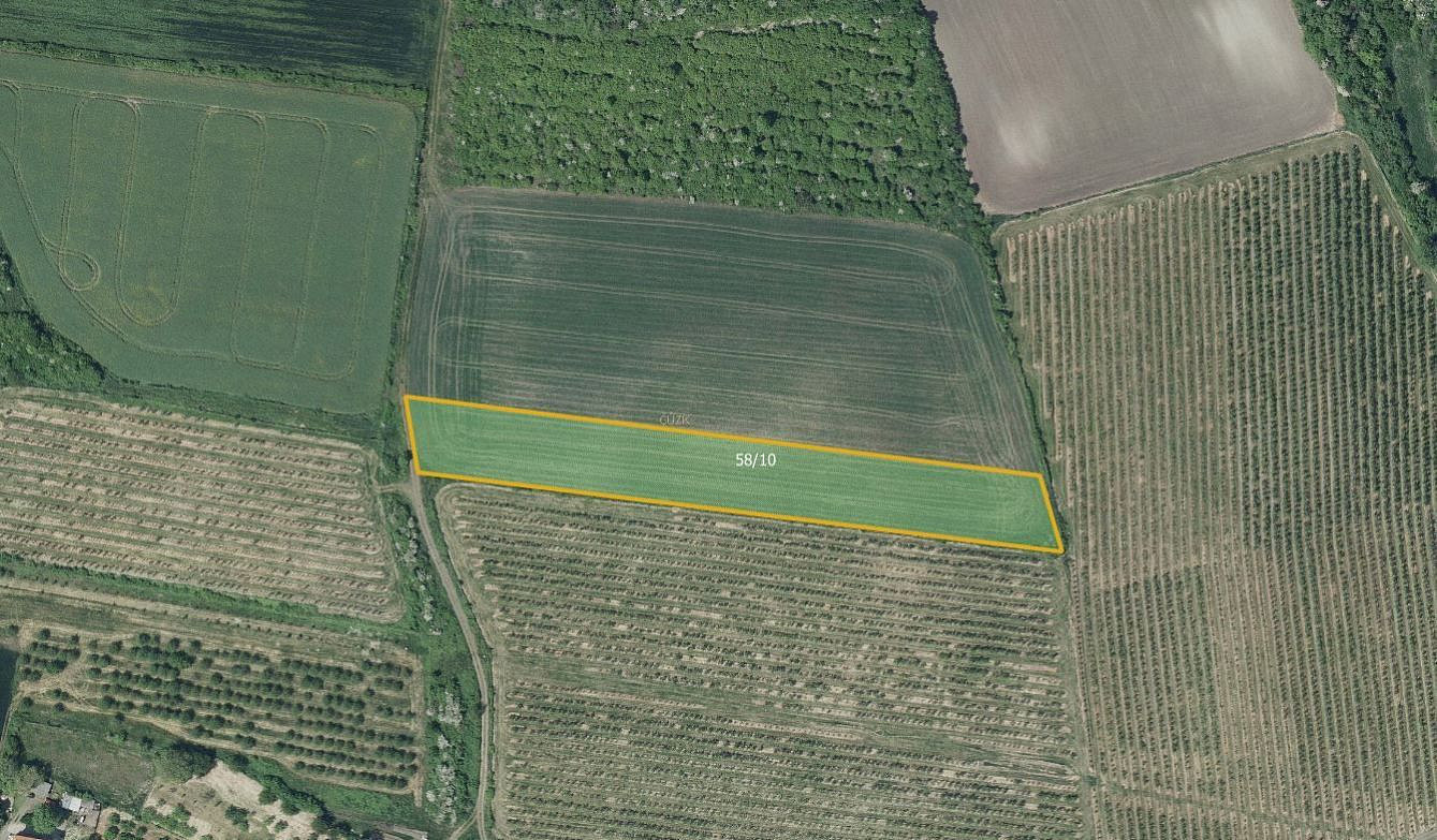 Prodej pole 7 043 m²