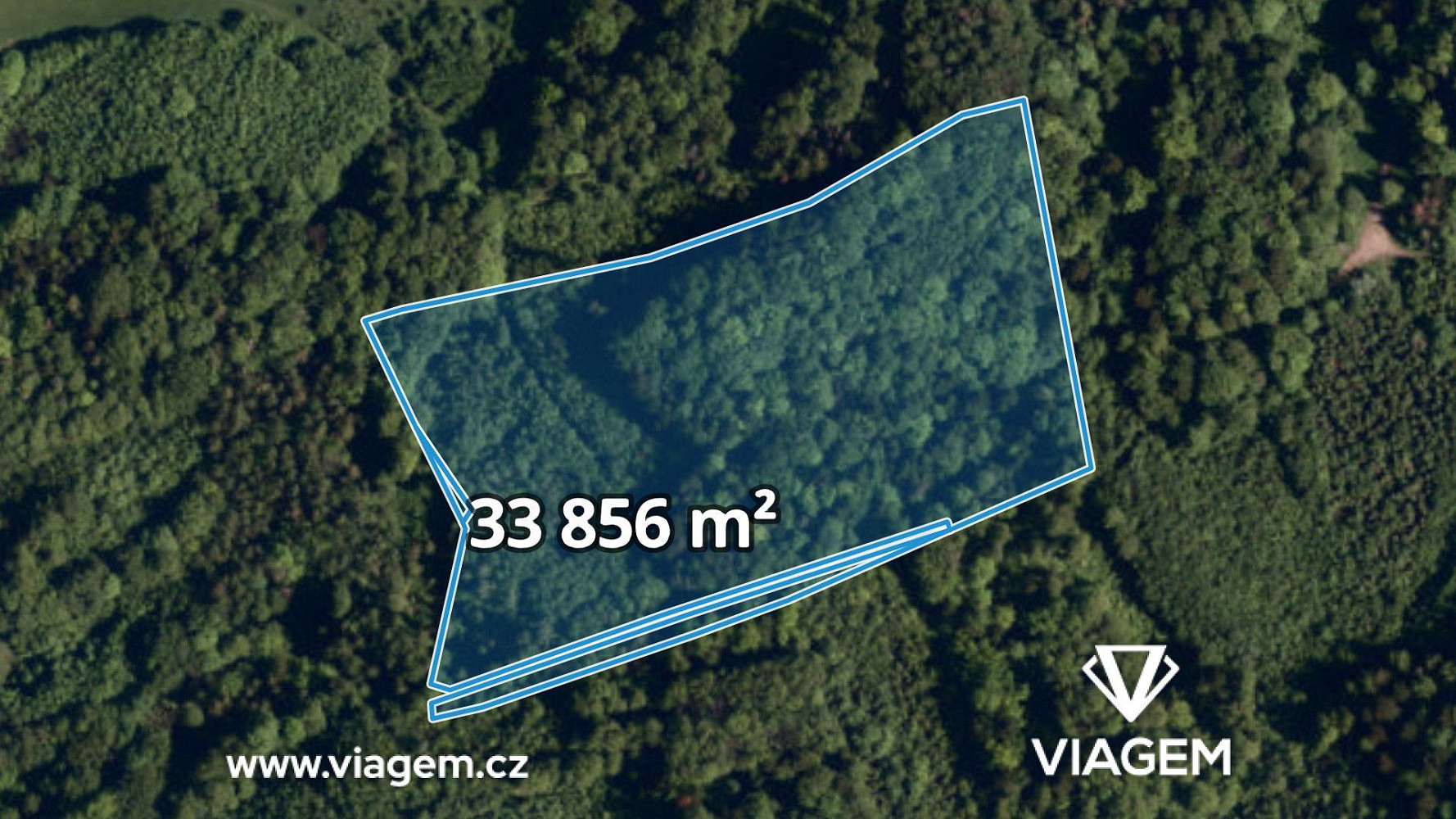 Prodej lesa 5 078 m²