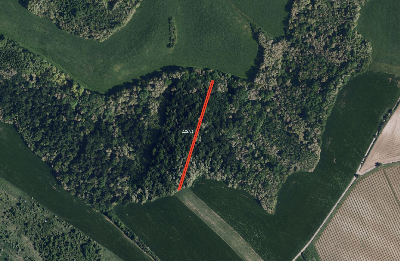 Prodej pole 6 238 m² – fotografie 2