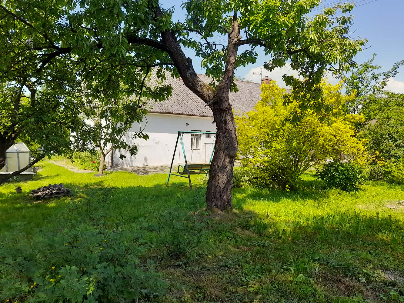 Fotka 29 z 30