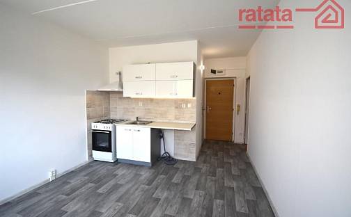 Pronájem bytu 1+1 41 m², Olšová, Klášterec nad Ohří, okres Chomutov