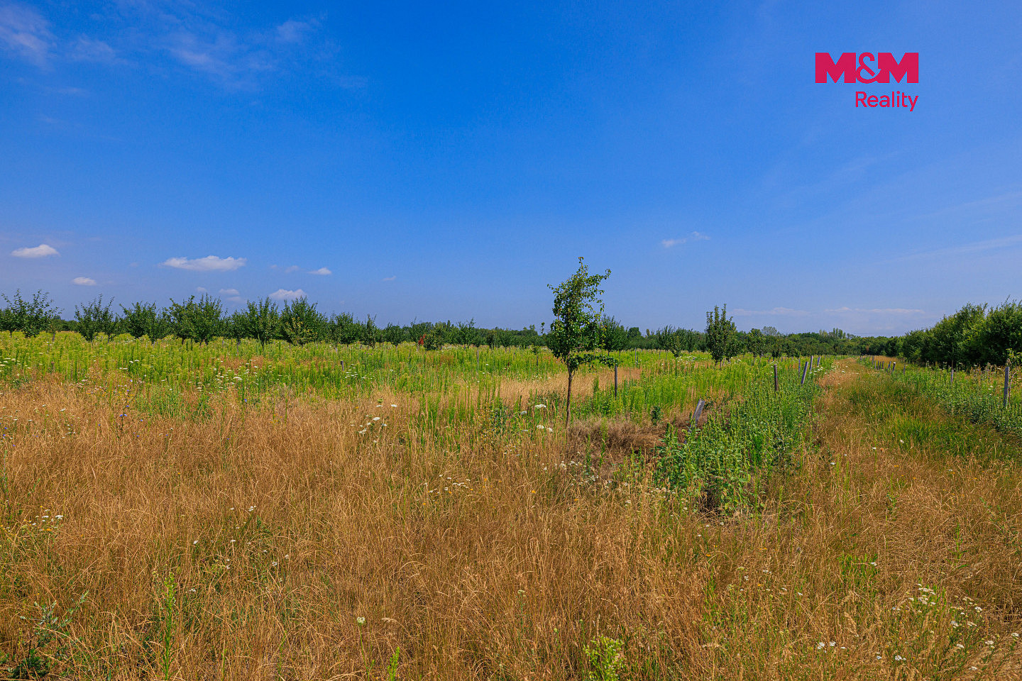 Prodej pole 123 477 m² — photo 2