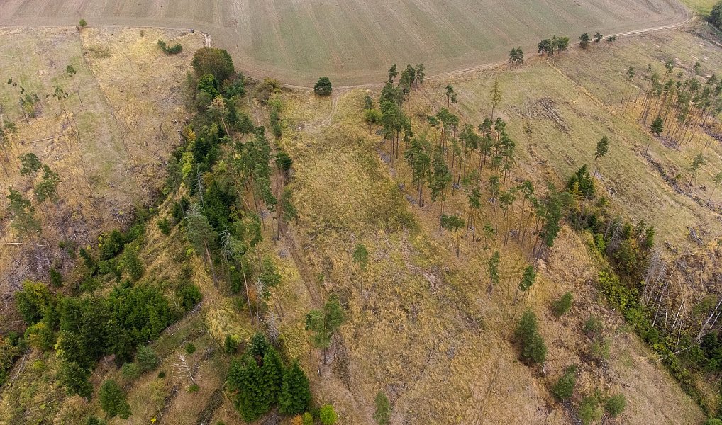 Prodej lesa 3 047 m², Vladislav – náhled fotky 2