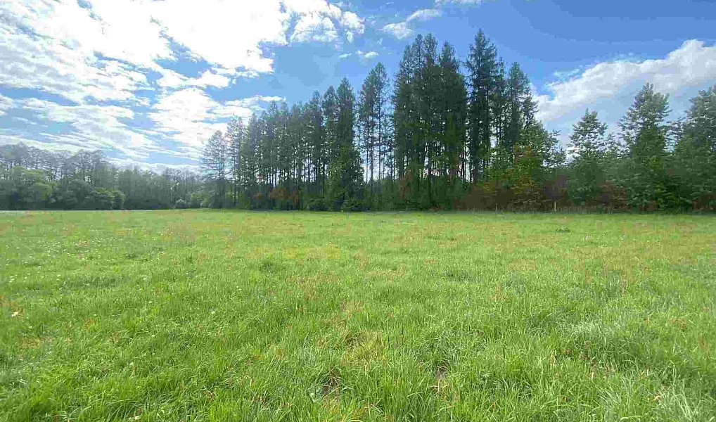 Prodej pozemku 7 130 m², Břidličná – náhled fotky 2