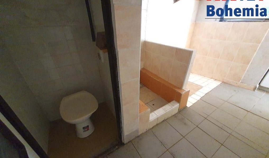 Prodej chaty/chalupy 382 m² s pozemkem 382 m², Kosmonosy – náhled fotky 15