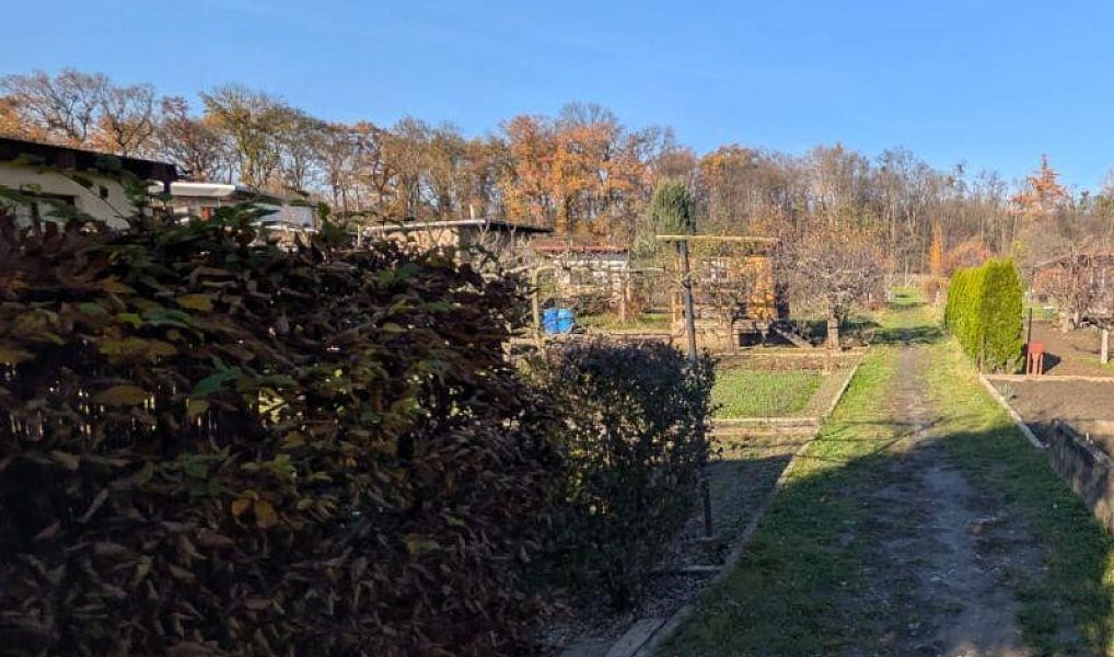 Prodej zahrady 268 m², Přerov – náhled fotky 12