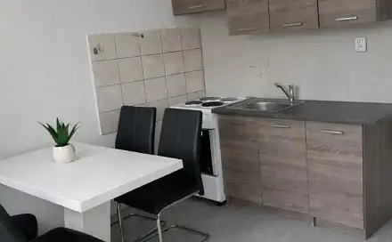 Pronájem bytu 3+1 55 m²