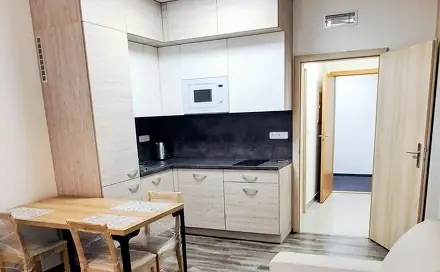 Pronájem bytu 2+kk 46 m², Příkop, Brno - Zábrdovice
