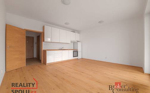 Pronájem bytu 1+kk 36 m², Měděná, Plzeň - Jižní Předměstí