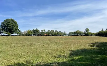 Prodej louky 6 229 m², Bojanovice, okres Praha-západ
