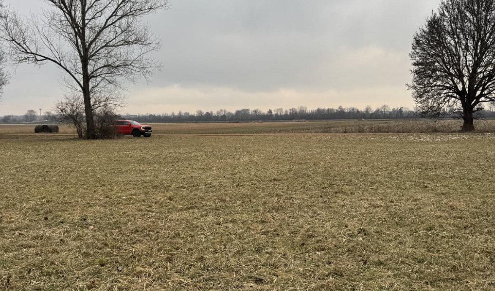 Prodej lesa 2 272 m², Uherský Ostroh – náhled fotky 4