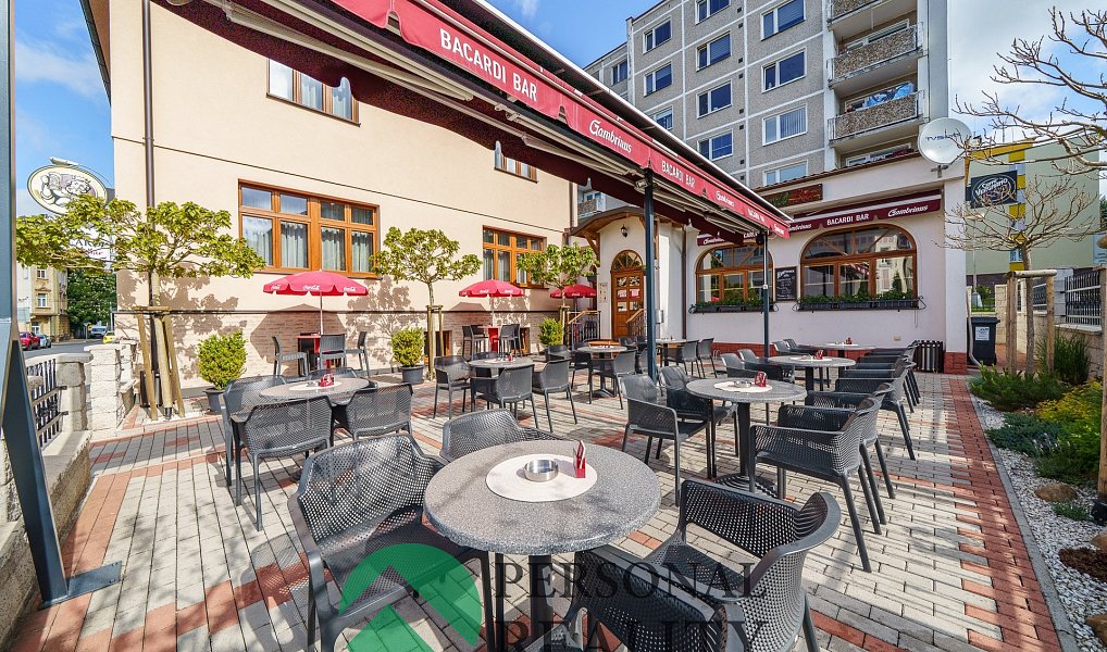 Prodej domu 616 m² s pozemkem 439 m², Mariánské Lázně – náhled fotky 10