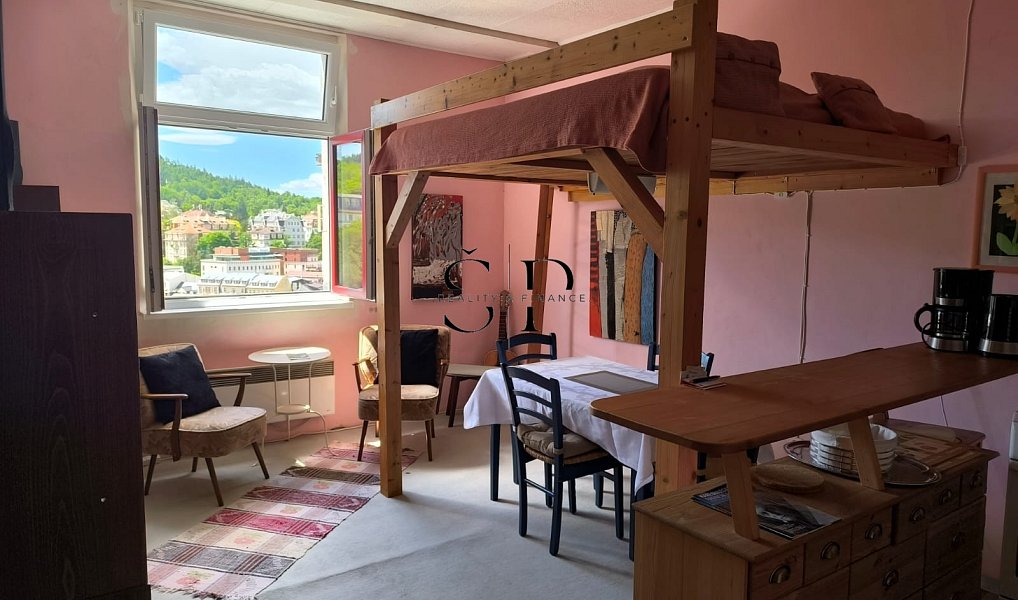 Pronájem bytu 2+kk 38 m², Karlovy Vary – náhled fotky 6