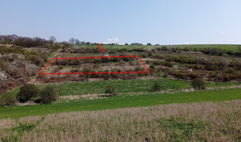 Prodej pozemku 6 023 m², Velké Němčice – náhled fotky 3