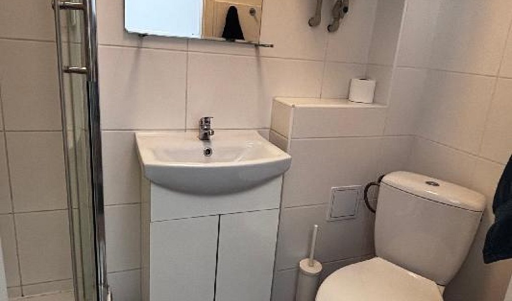 Pronájem bytu 1+kk 25 m², Ostrava – náhled fotky 6