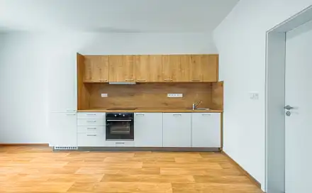 Pronájem bytu 2+kk 48 m², Řepčínská, Olomouc