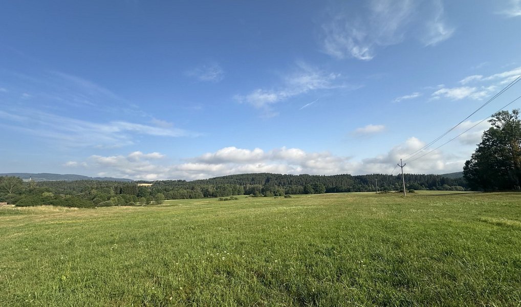 Prodej pole 27 326 m², Kaplice – náhled fotky 3