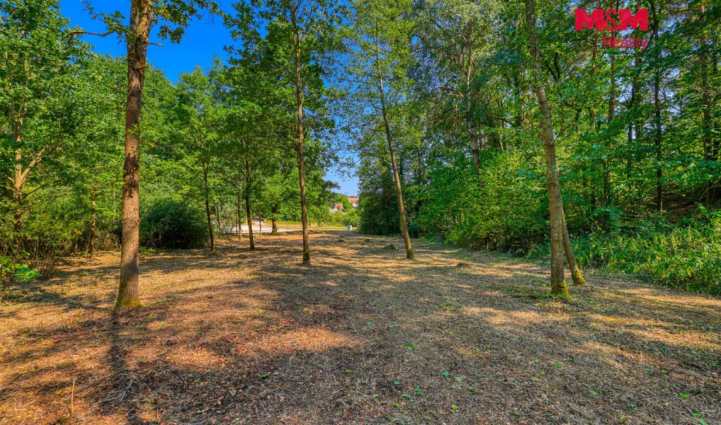 Prodej zahrady 2 248 m², Velký Bor – náhled fotky 9
