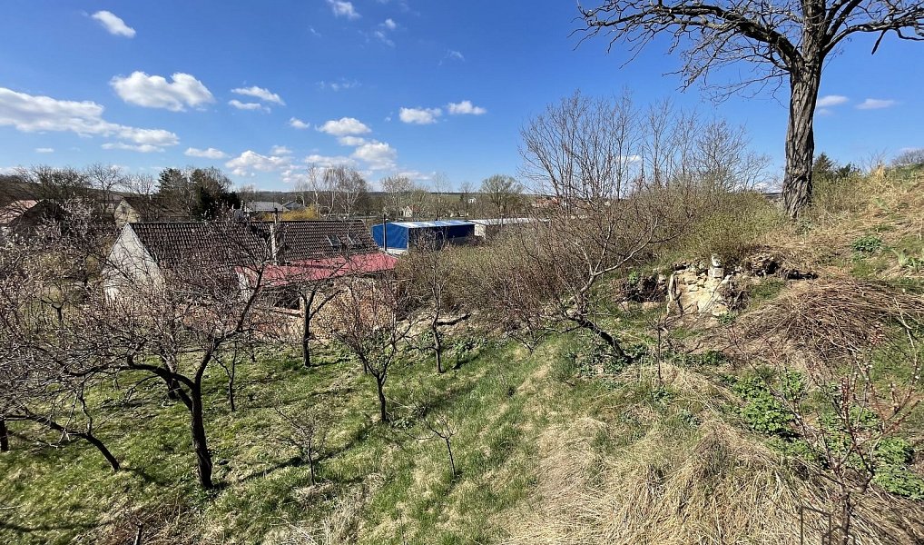 Prodej vinného sklepa s pozemkem (663 m2) ve Valticích-část Úvaly., Valtice – náhled fotky 7