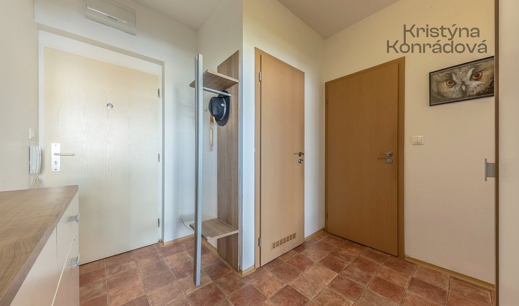 Prodej bytu 2+kk 45 m², Praha – náhled fotky 11