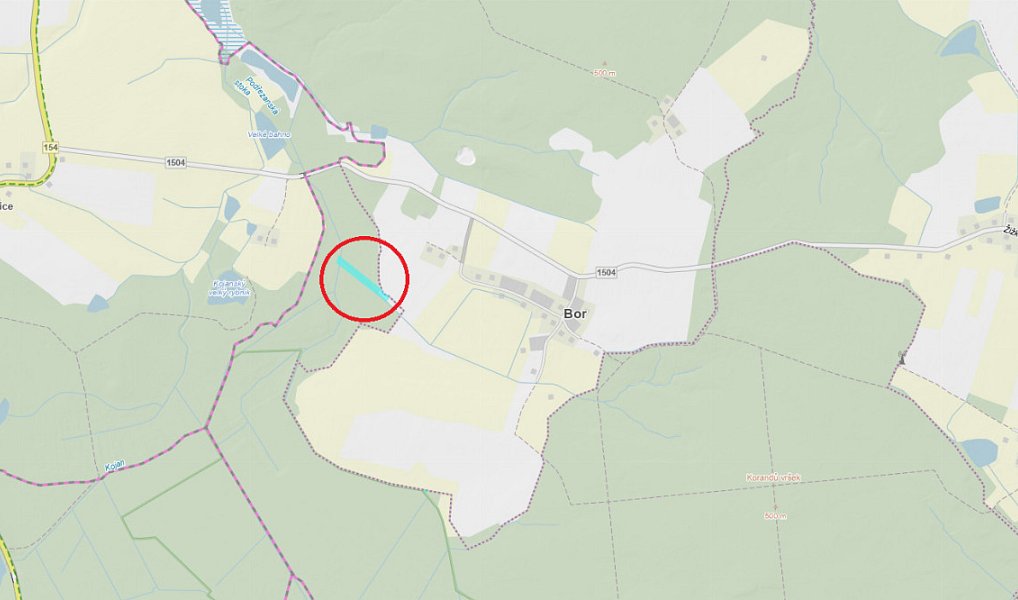 Prodej pozemku 9 041 m², Cep – náhled fotky 2