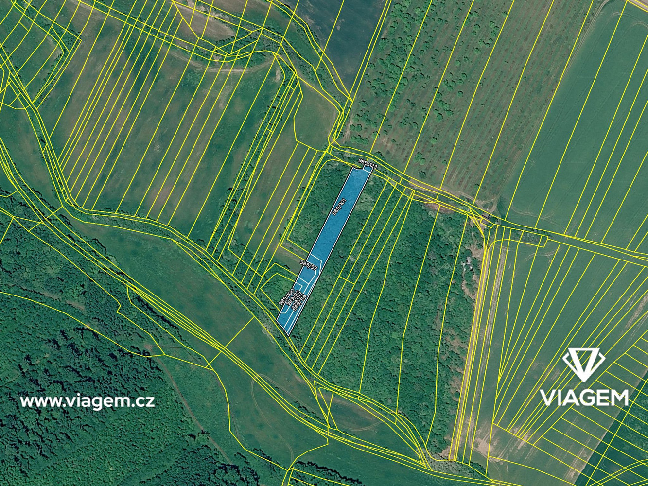 Prodej pole 3 373 m² – fotografie 4