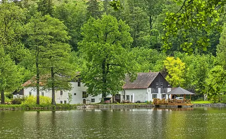 Prodej chaty/chalupy 1 598 m² s pozemkem 83 424 m², Pelhřimov - Radňov