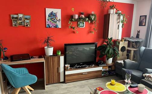 Pronájem bytu 2+1 46 m², Bezděkovská, Strakonice - Strakonice II
