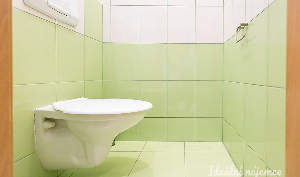 Pronájem bytu 1+kk 20 m², Praha – náhled fotky 9