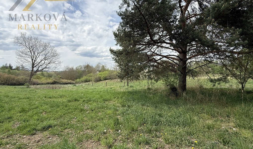 Prodej chaty/chalupy 108 m² s pozemkem 1 406 m², Chrášťany – náhled fotky 19