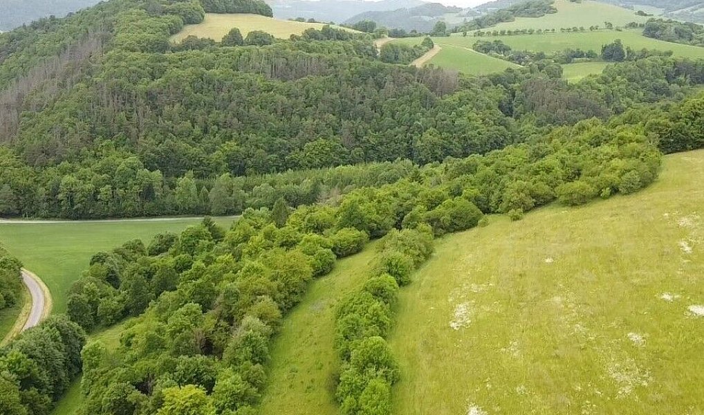 Prodej pozemku 6 028 m², Skorotice – náhled fotky 2