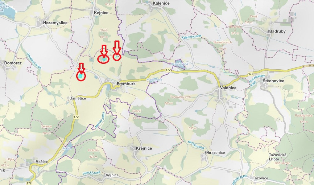 Prodej lesa 7 982 m², Frymburk – náhled fotky 5