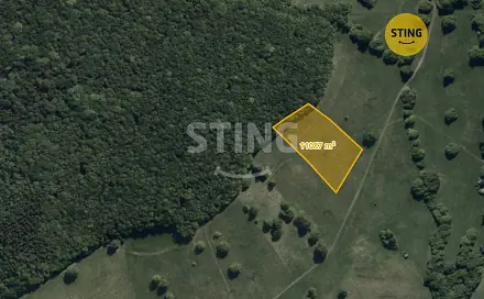 Prodej lesa 11 087 m², Hrubá Vrbka, okres Hodonín