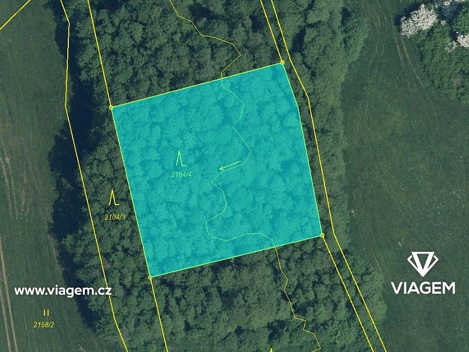 Prodej lesa 5 621 m² – fotografie 4