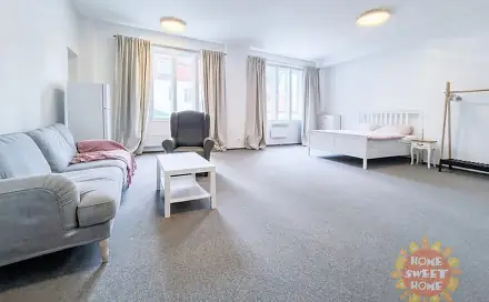 Pronájem bytu 1+1 60 m², Nekázanka, Praha 1 - Nové Město