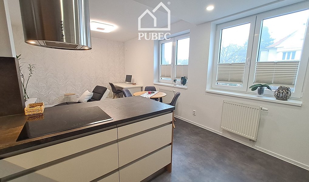 Pronájem bytu 2+kk 54 m², Plzeň – náhled fotky 6